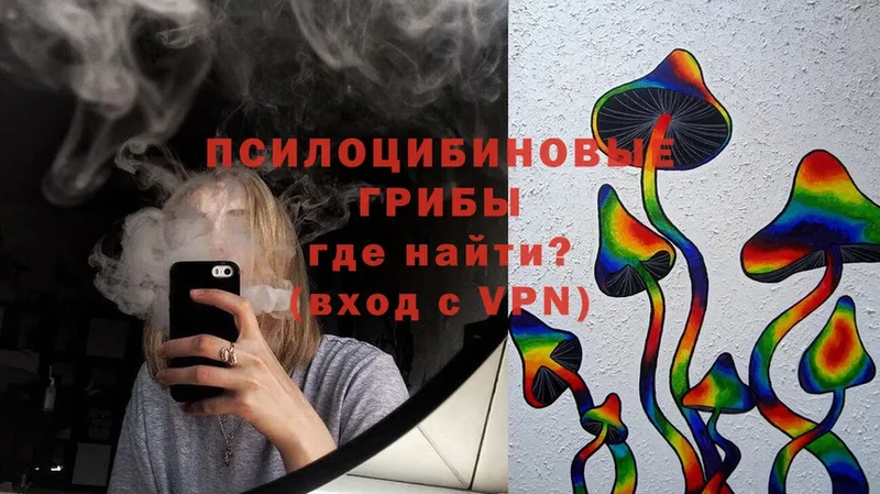 Псилоцибиновые грибы Cubensis  закладки  Кировск 