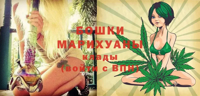 Каннабис SATIVA & INDICA  Кировск 